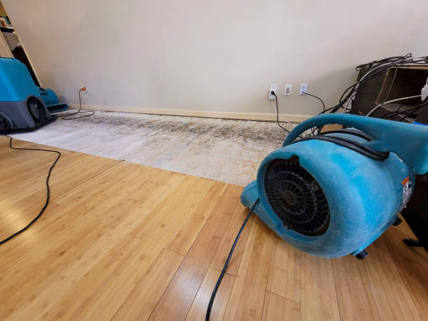 Professional Structural Drying technician working in Brookfield, MA